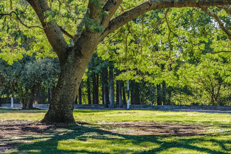 Parks For Events